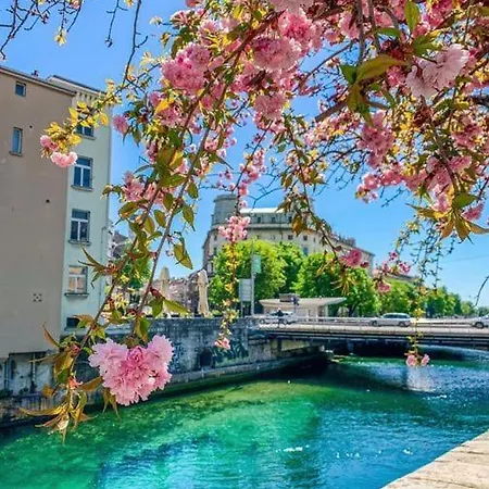 Apartman Nikas